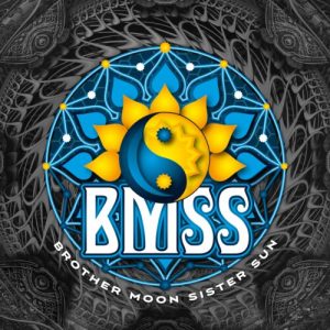bmss-records