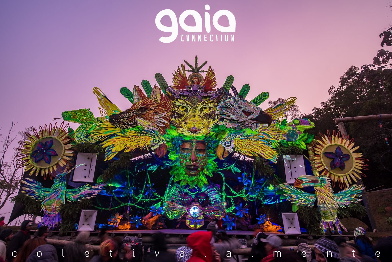 Gaia Connection Brazil