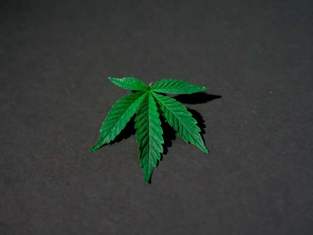 Weed leaf